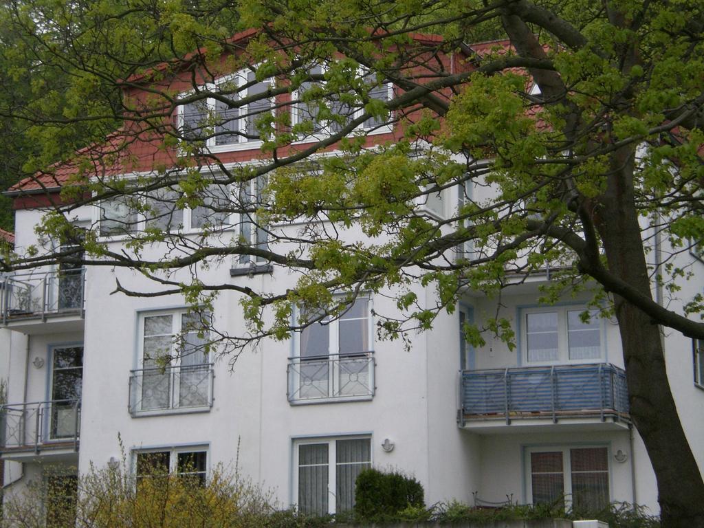 Ferienwohnung In Sassnitz Ruegen Naehe Weltnaturerbe Kreidekueste Exterior photo