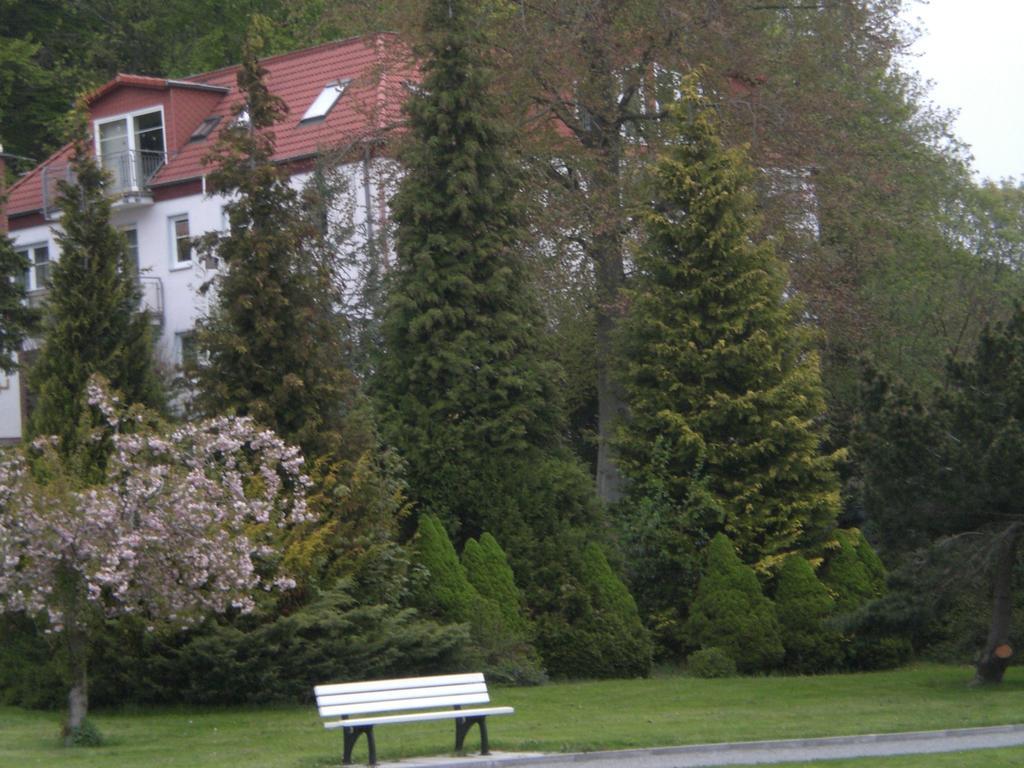 Ferienwohnung In Sassnitz Ruegen Naehe Weltnaturerbe Kreidekueste Exterior photo