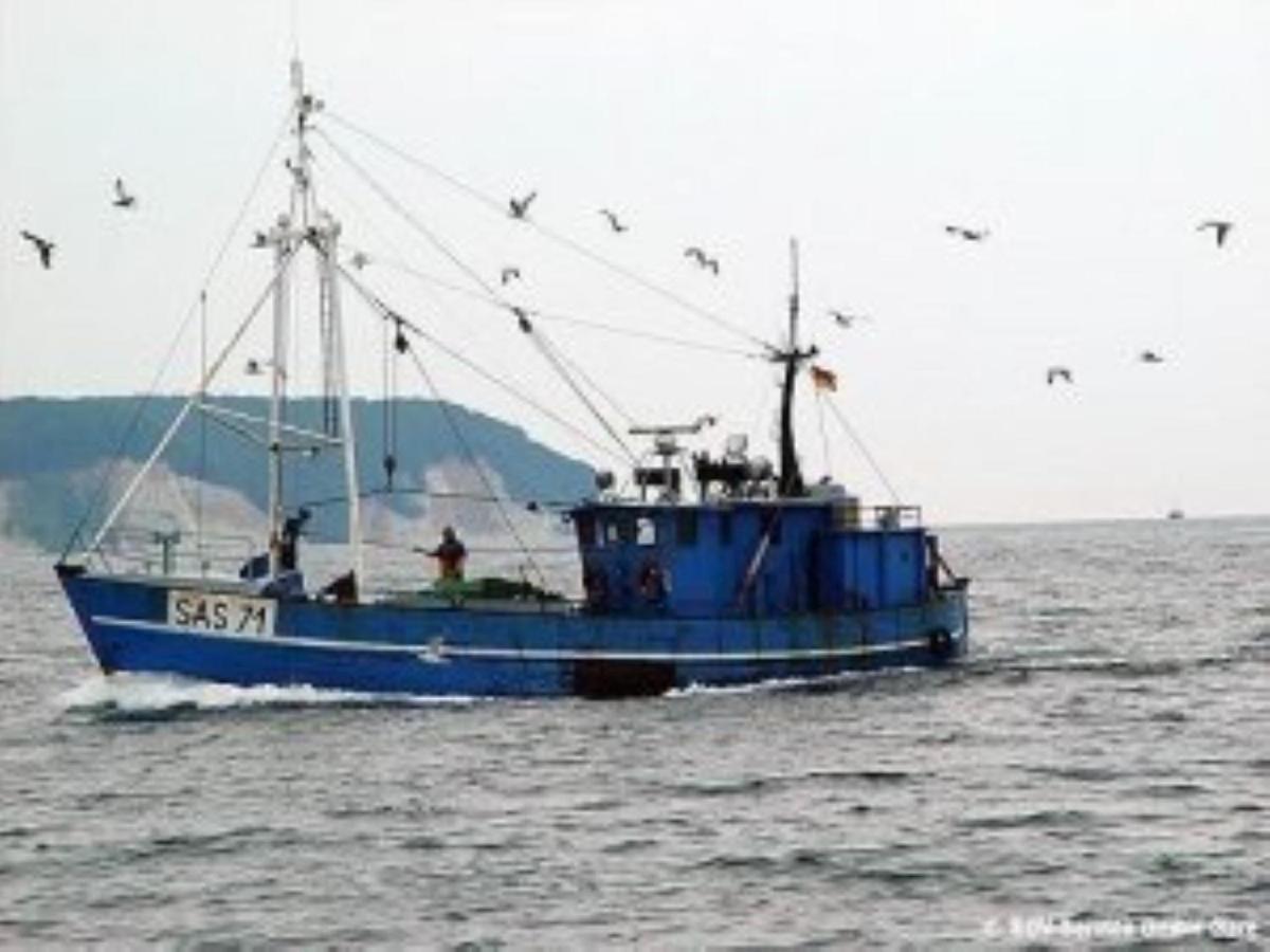 Ferienwohnung In Sassnitz Ruegen Naehe Weltnaturerbe Kreidekueste Exterior photo